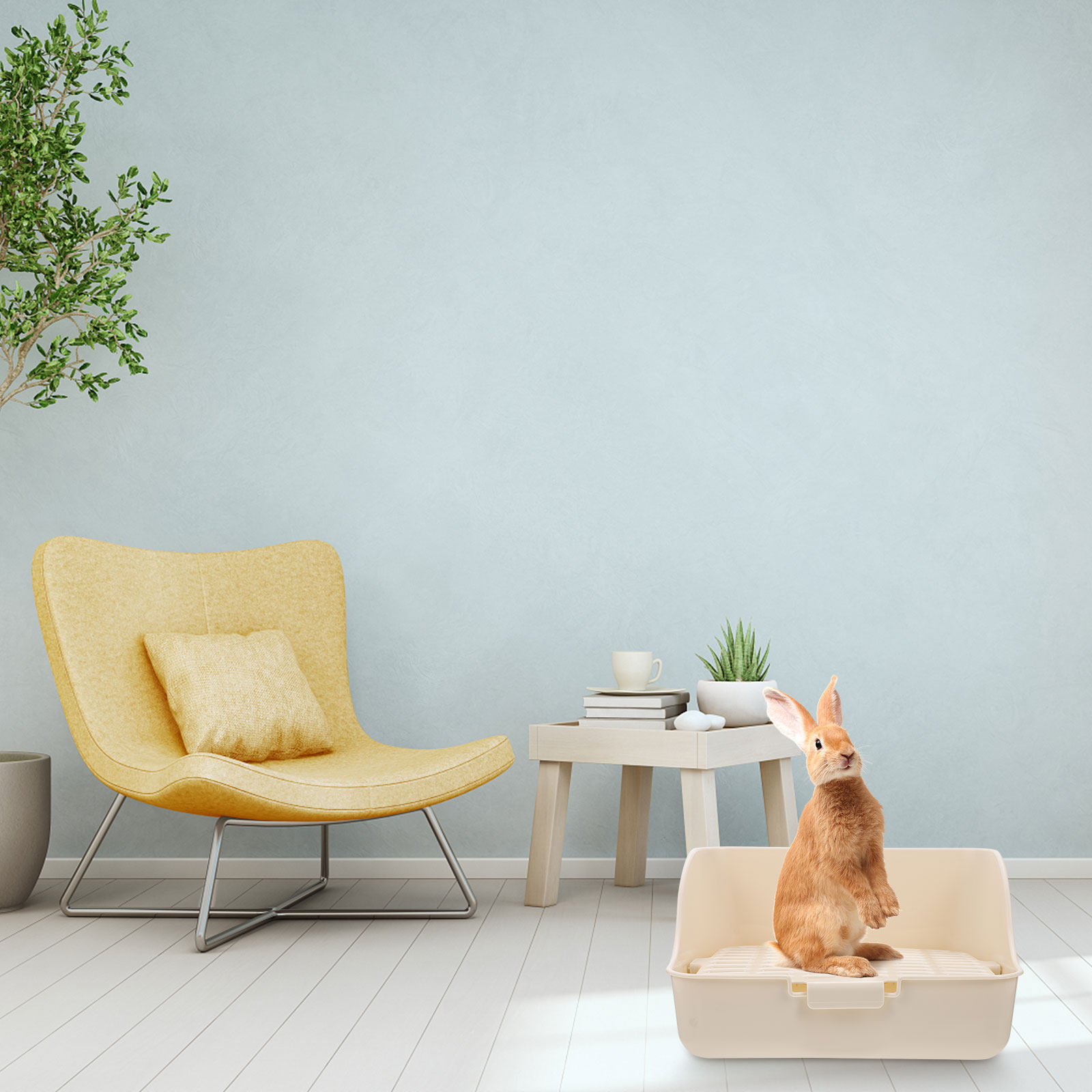 Furniture Quality Control - Small Pet Toilet High Quality Plastic